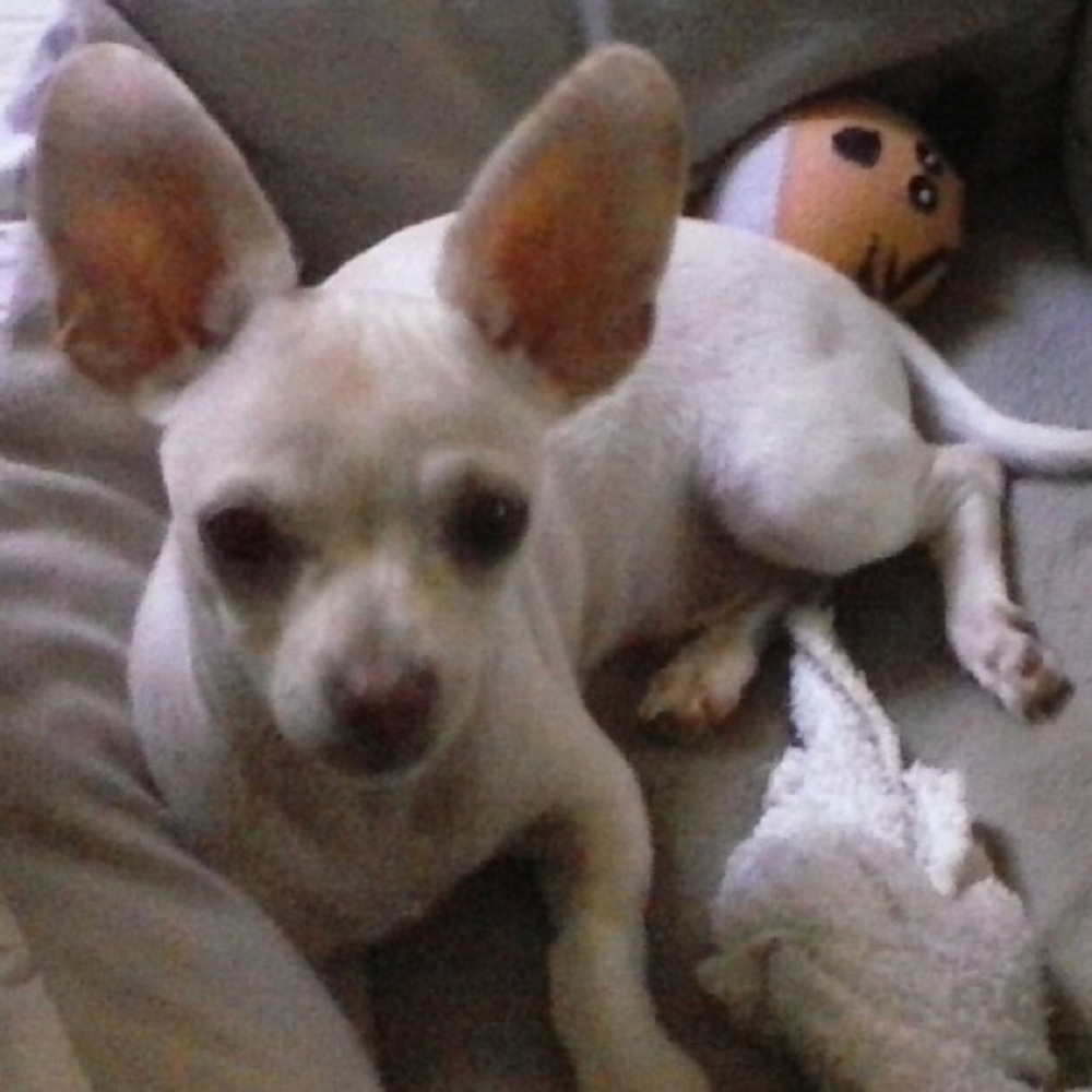 Meet your Posher, Stephanie